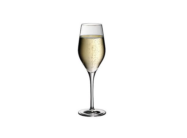 WMF DIVINE Champagneglass  26,5cl Ø:70mm H:223mm 26,5cl